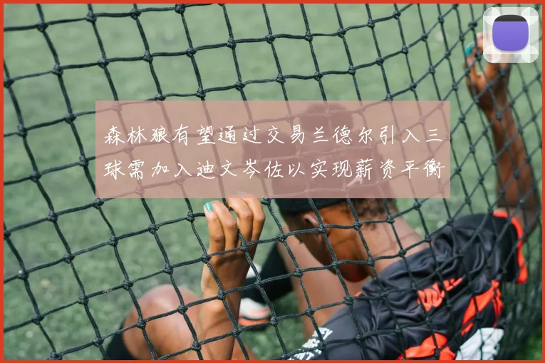 森林狼有望通过交易兰德尔引入三球需加入迪文岑佐以实现薪资平衡